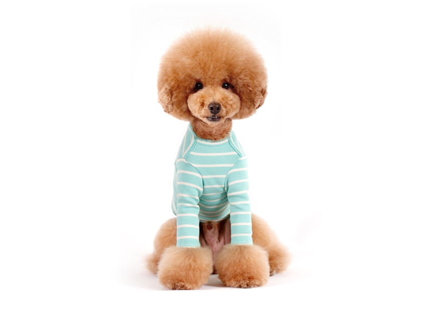 NEW DOG FASHION Brick Brick Dog Unusual Clothing D