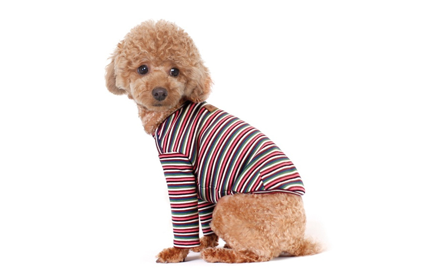 NEW DOG FASHION Brick Brick Dog Unusual Clothing D