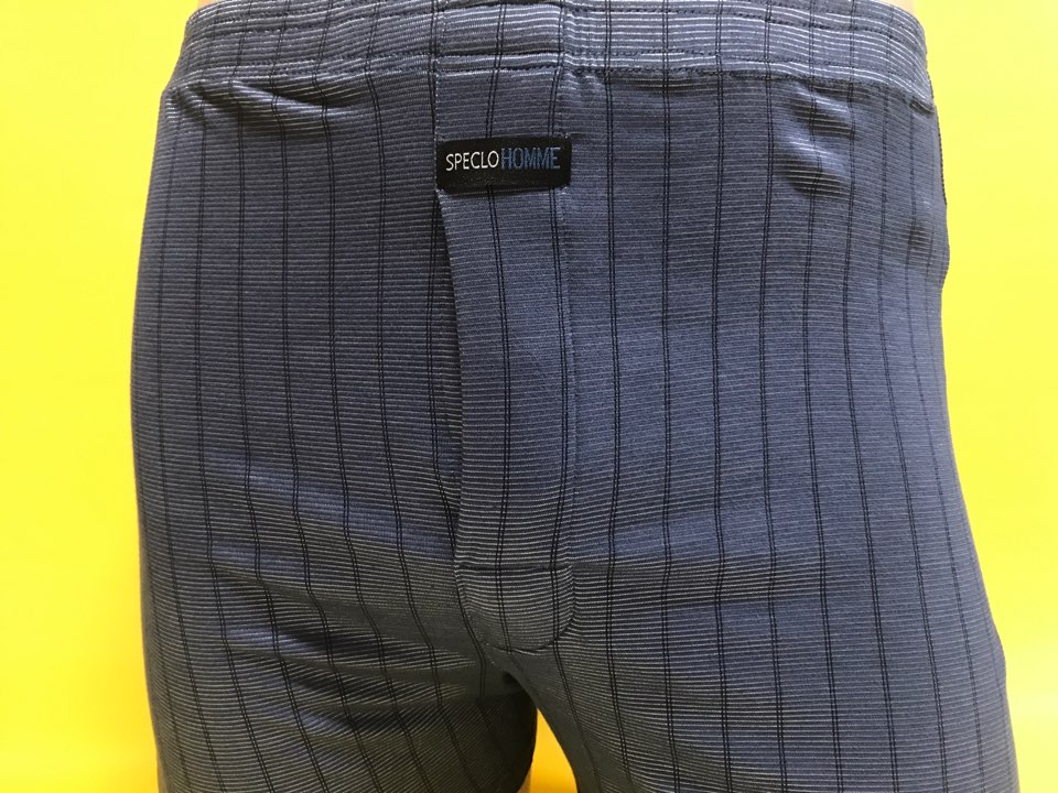 NEW MEN BOXER UNDERWEAR Tencel trunk underwear pan