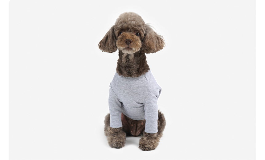 NEW DOG FASHION Pretty dog ​​clothes Dog clothes C