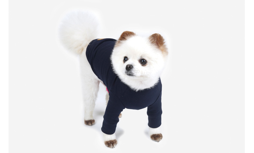 NEW DOG FASHION Pretty dog ​​clothes Dog clothes C