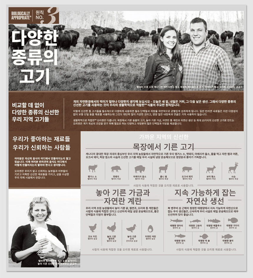 NEW PET DOG FEED ORIGEN 6 fish dock 100g subdivisi