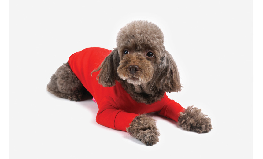 NEW DOG FASHION Pretty dog ​​clothes Dog clothes C