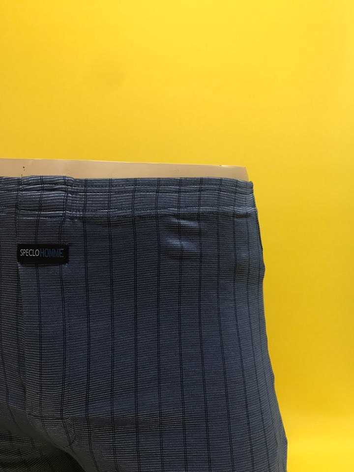 NEW MEN BOXER UNDERWEAR Tencel trunk underwear pan