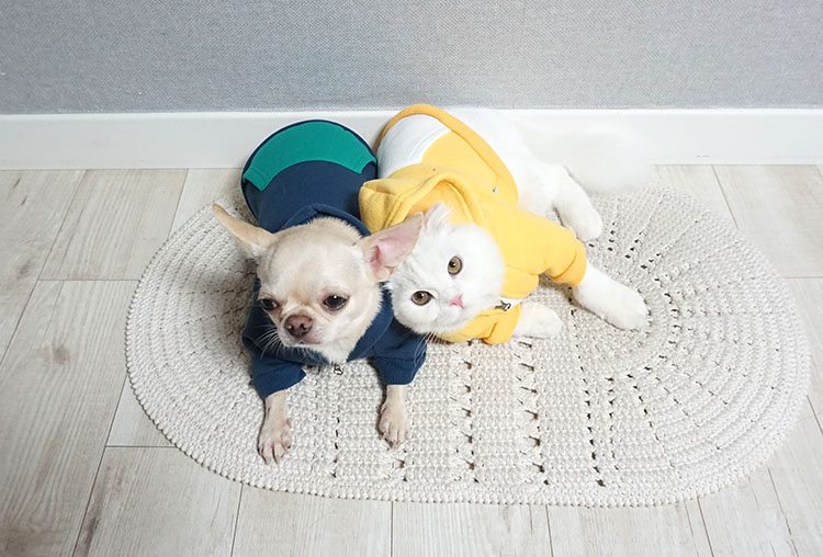 NEW DOG FASHION Puppy Clothes House Hoodie Autumn 