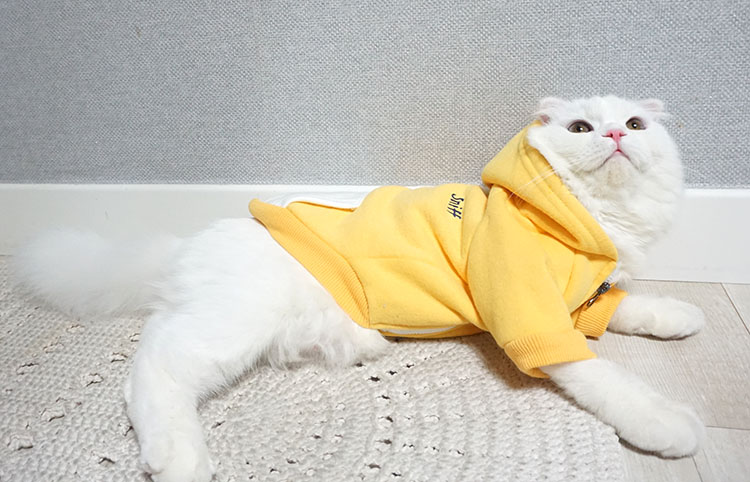 NEW DOG FASHION Puppy Clothes House Hoodie Autumn 