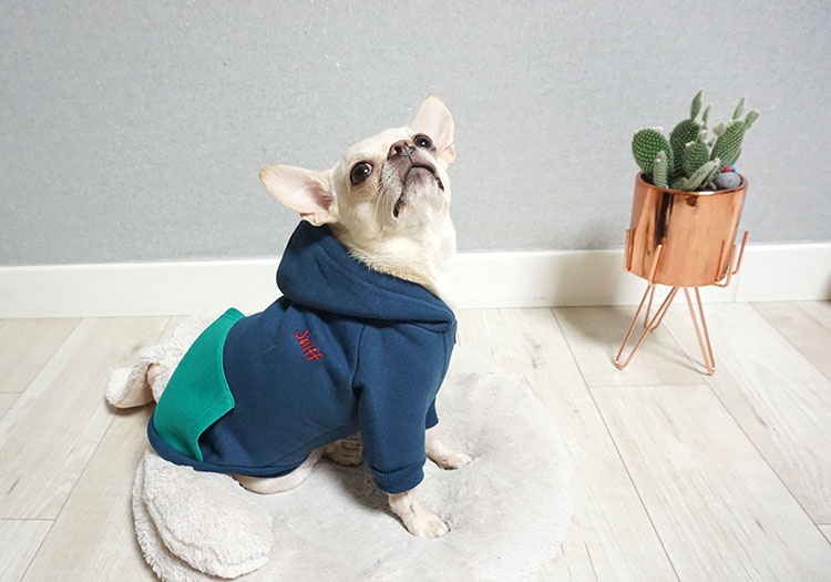NEW DOG FASHION Puppy Clothes House Hoodie Autumn 