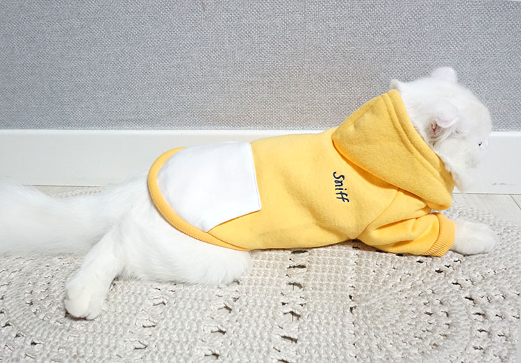 NEW DOG FASHION Puppy Clothes House Hoodie Autumn 