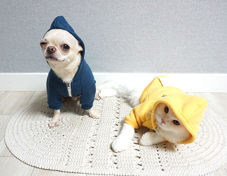 NEW DOG FASHION Puppy Clothes House Hoodie Autumn 