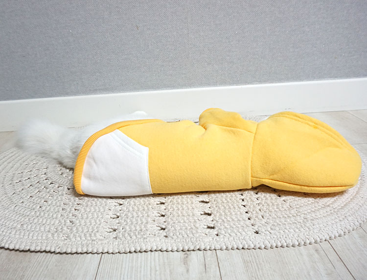 NEW DOG FASHION Puppy Clothes House Hoodie Autumn 