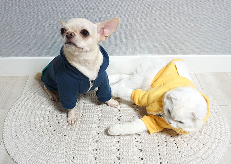 NEW DOG FASHION Puppy Clothes House Hoodie Autumn 