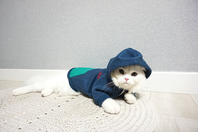 NEW DOG FASHION Puppy Clothes House Hoodie Autumn 