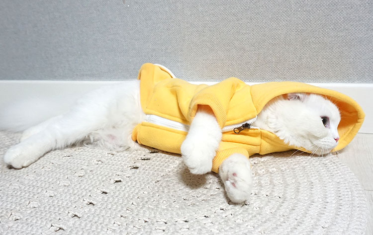 NEW DOG FASHION Puppy Clothes House Hoodie Autumn 