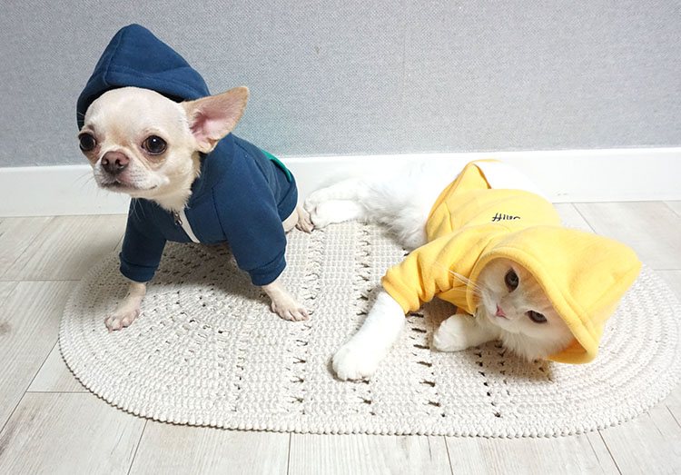 NEW DOG FASHION Puppy Clothes House Hoodie Autumn 