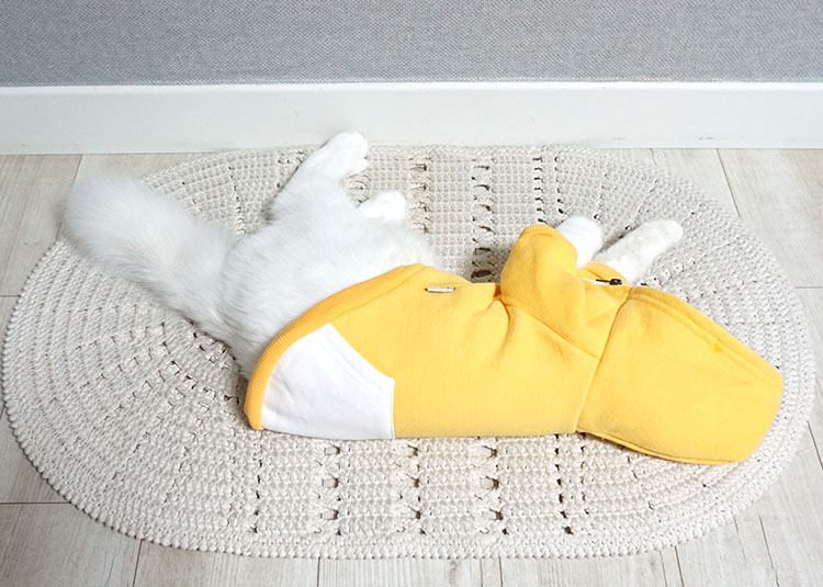 NEW DOG FASHION Puppy Clothes House Hoodie Autumn 