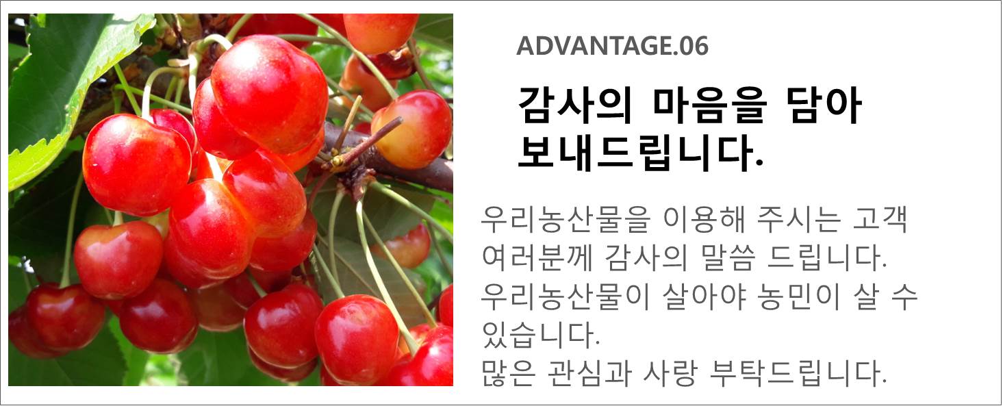 NEW HONEY CITRON TEA 500g Handmade cherry lemon Do