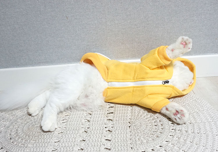 NEW DOG FASHION Puppy Clothes House Hoodie Autumn 