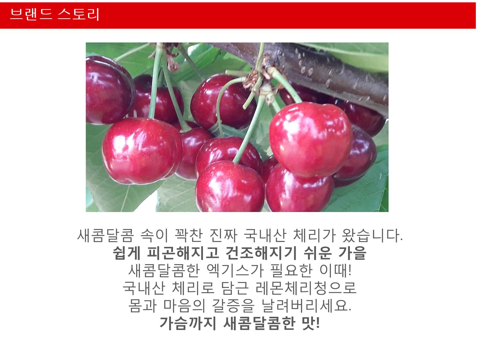 NEW HONEY CITRON TEA 500g Handmade cherry lemon Do