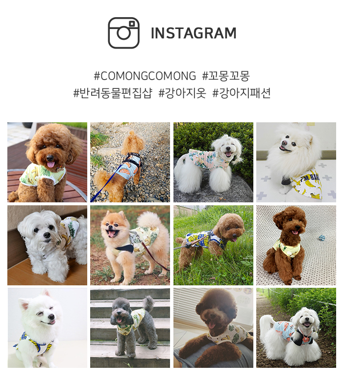 NEW DOG FASHION Panana all-in-one _ Doggie puppy d