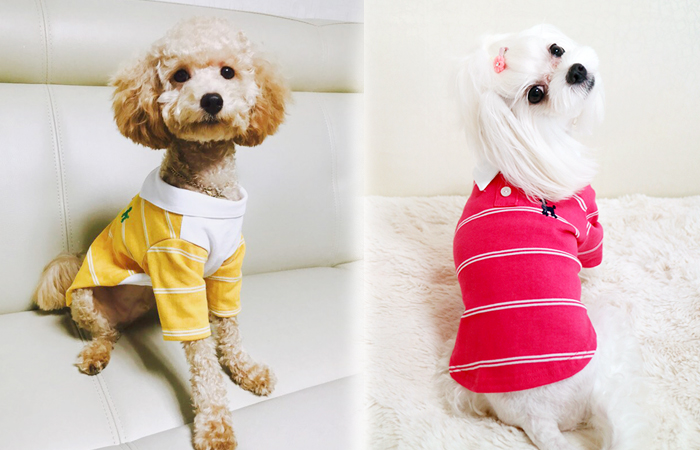 NEW DOG FASHION Polo St. Doggy Clothes Polo Shirt 