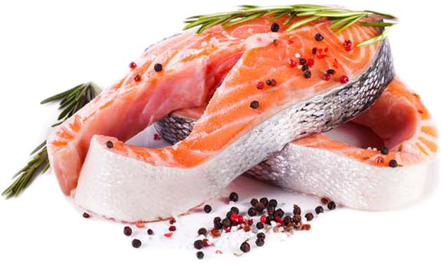 NEW PET DOG FEED go High feed LID and salmon 2.72 