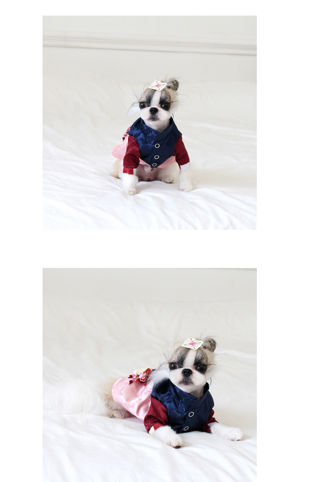 NEW DOG FASHION Puppy-chan Dog Hanbok Hanryang Pri
