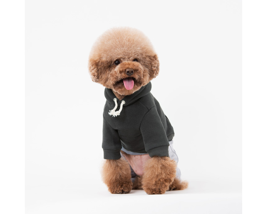 NEW DOG FASHION Unusual dog clothes Sniff dog clot