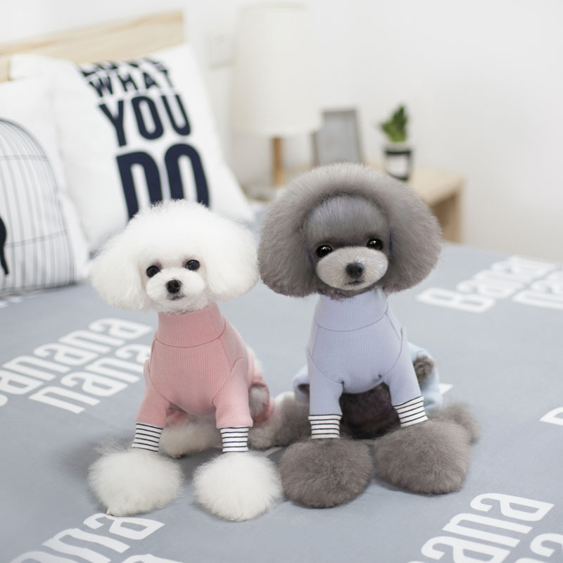 NEW DOG FASHION Solid Goli Pole Puppy All-in-One D