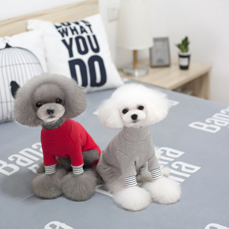 NEW DOG FASHION Solid Goli Pole Puppy All-in-One D