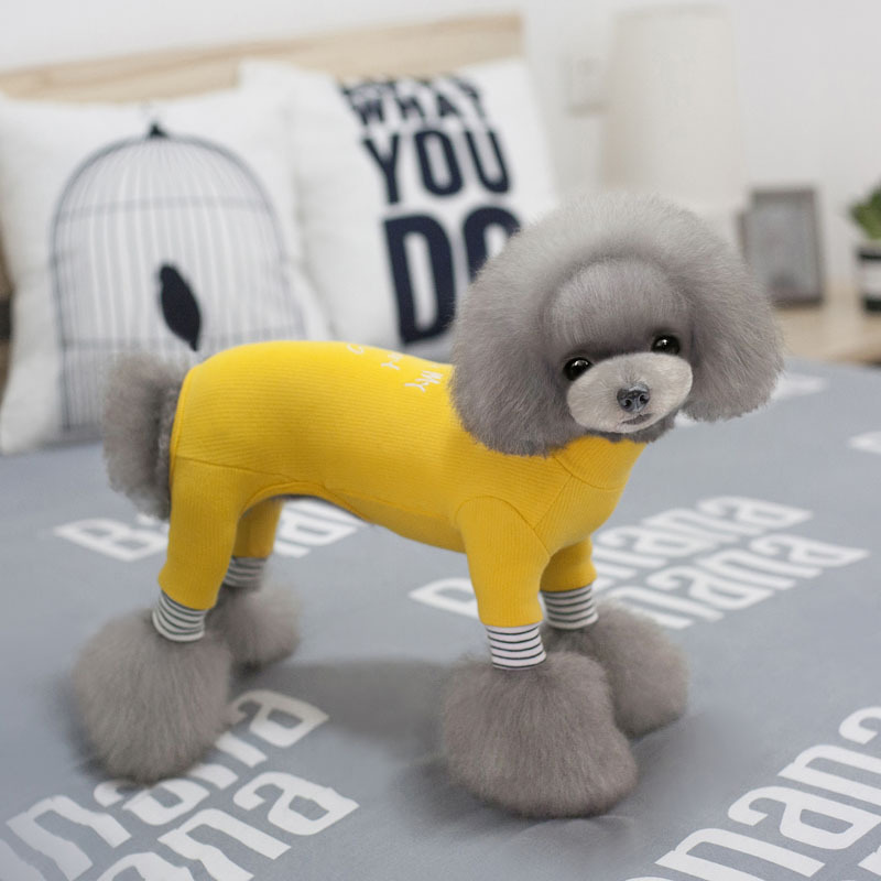 NEW DOG FASHION Solid Goli Pole Puppy All-in-One D