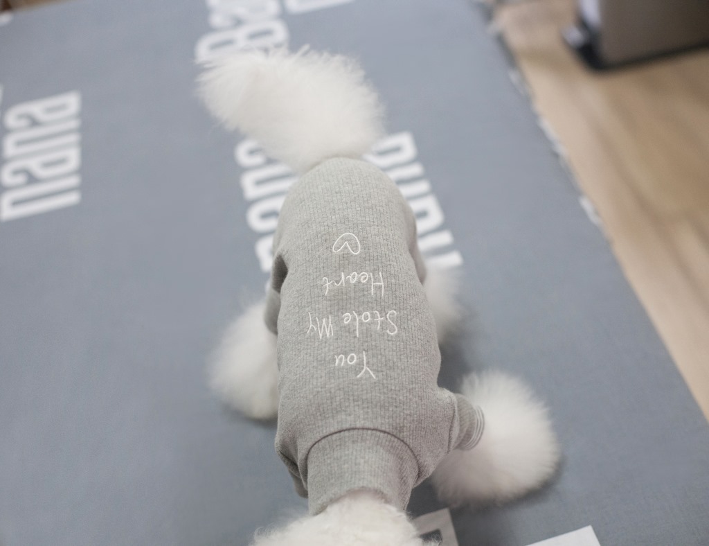 NEW DOG FASHION Solid Goli Pole Puppy All-in-One D