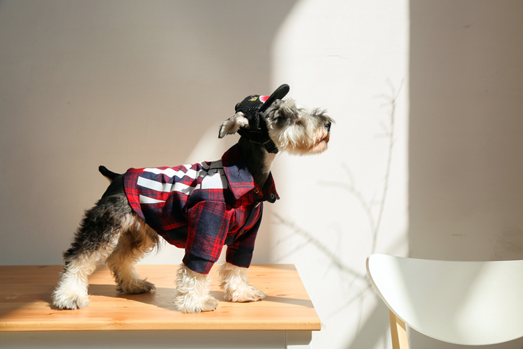 NEW DOG FASHION Luxury dog ​​clothes off-white st 