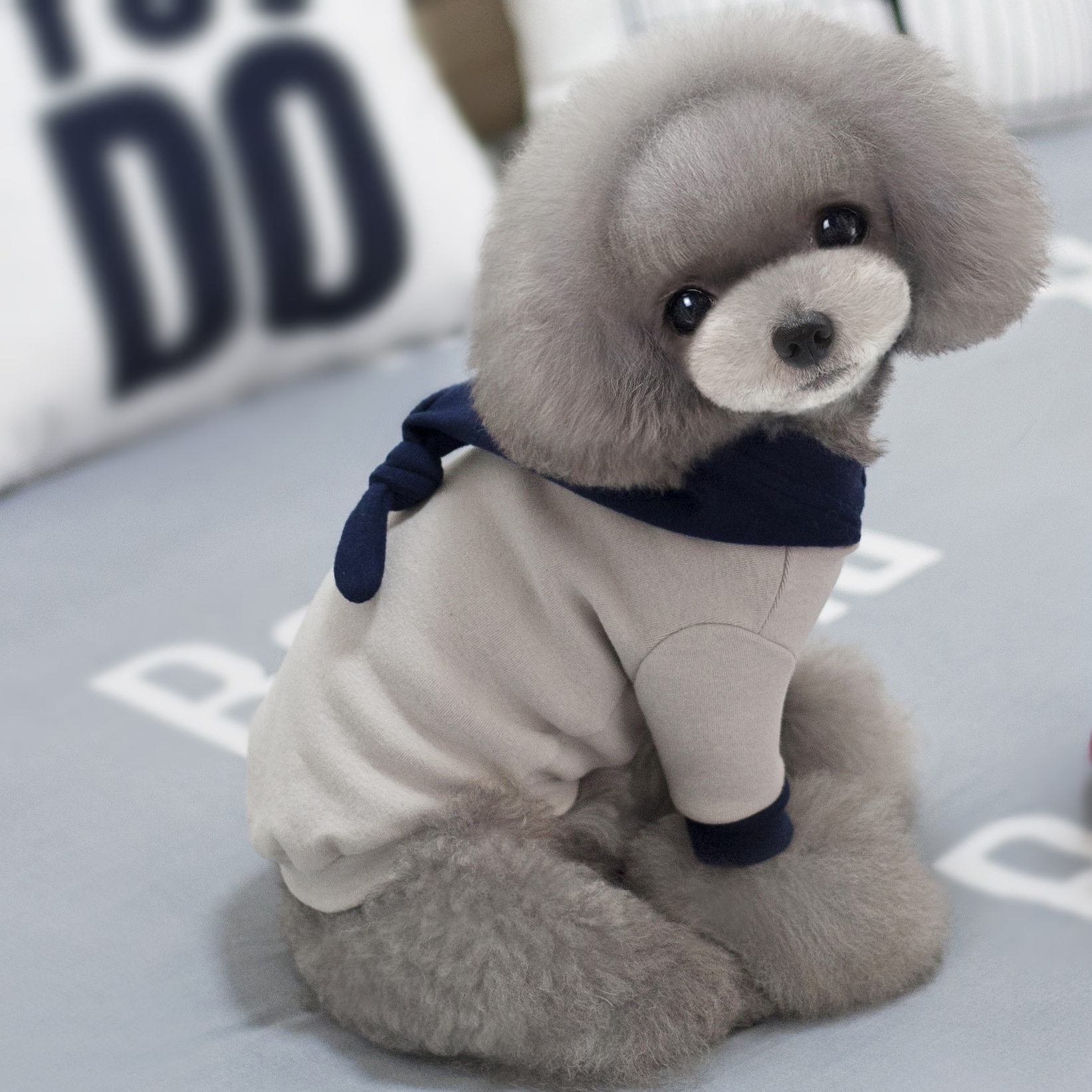 NEW DOG FASHION CHIPET Puppy Cocktail Hat T-shirt 