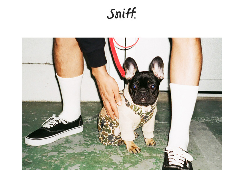 NEW DOG FASHION Unusual dog clothes Sniff dog clot