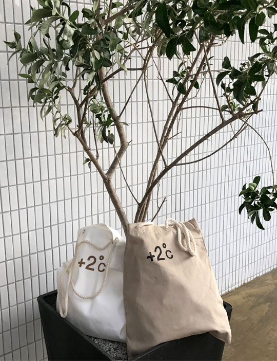 Daily Cotton Eco Bag This is a simple ladies colle