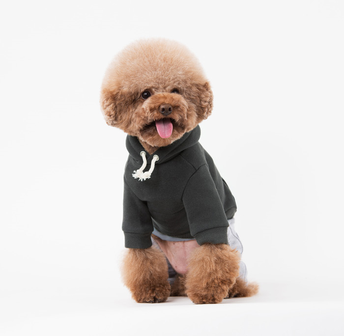 NEW DOG FASHION Snoopy Dogs Winterwear Basic Hoode