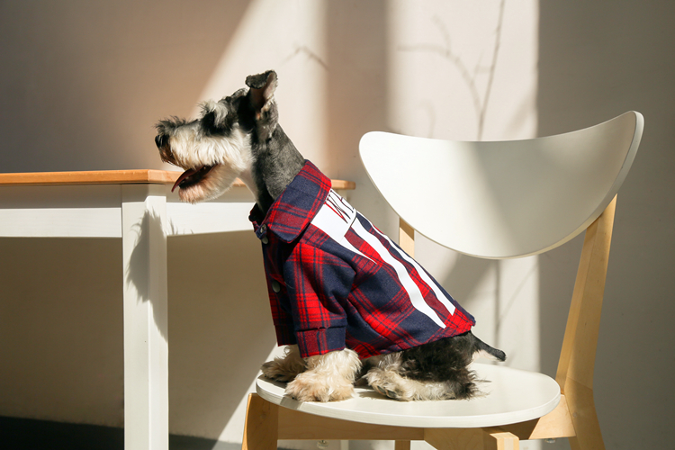 NEW DOG FASHION Luxury dog ​​clothes off-white st 