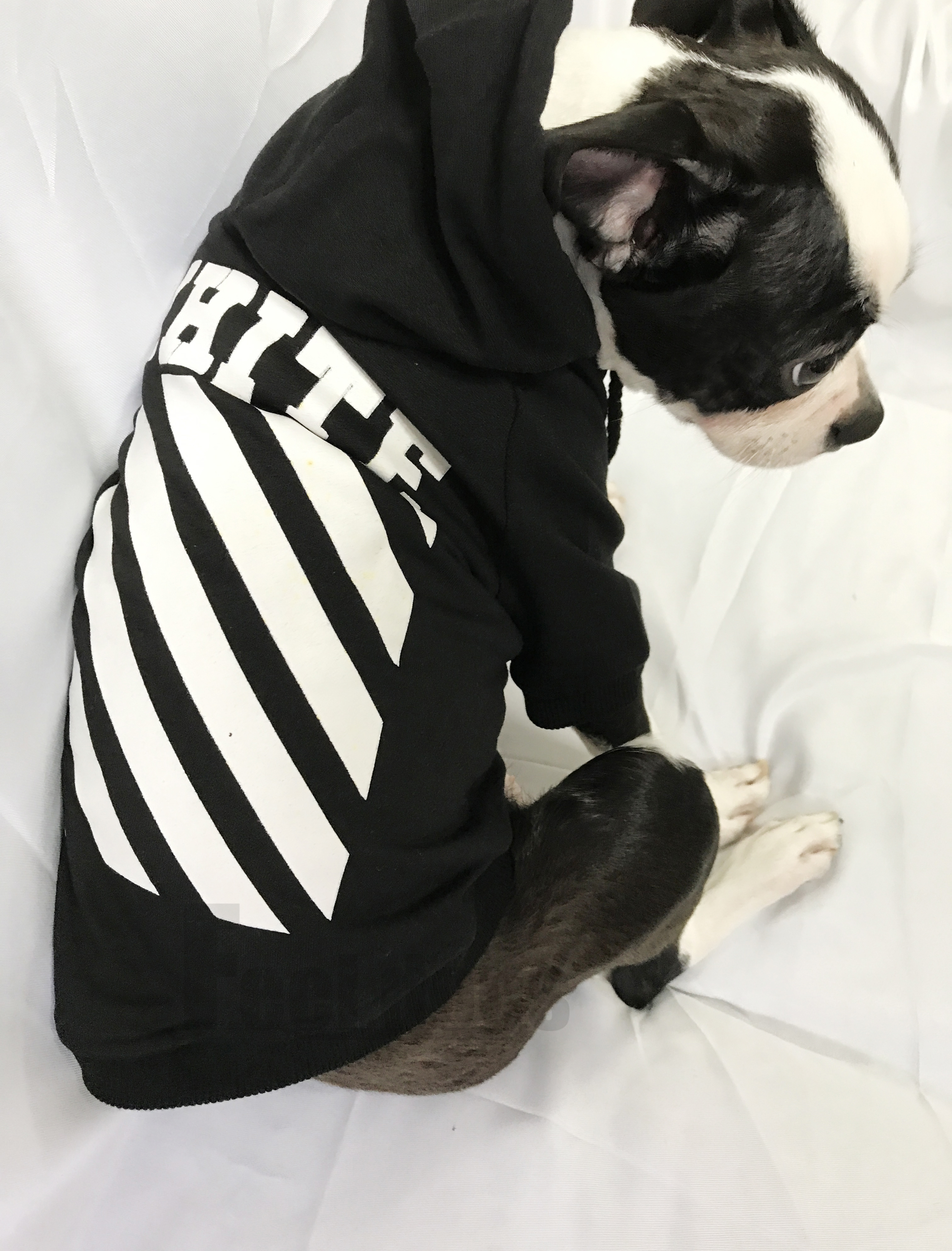 NEW DOG FASHION Off-white st Dog Hoodie Pet Dog Cl