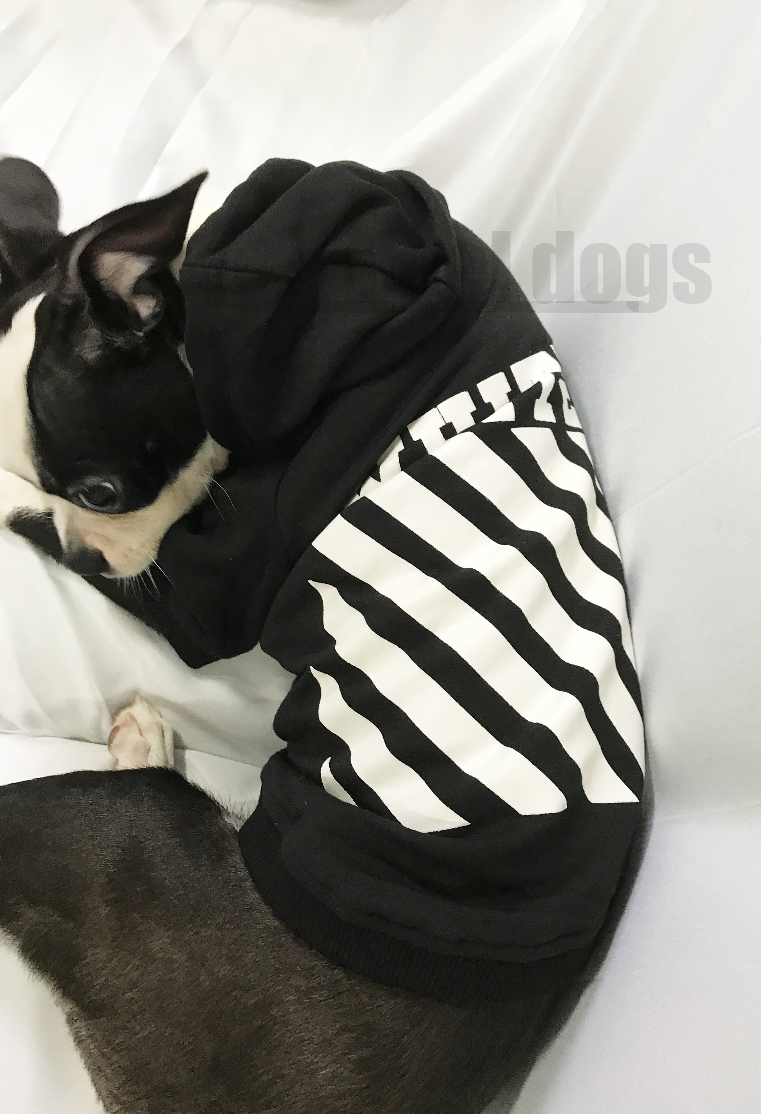 NEW DOG FASHION Off-white st Dog Hoodie Pet Dog Cl