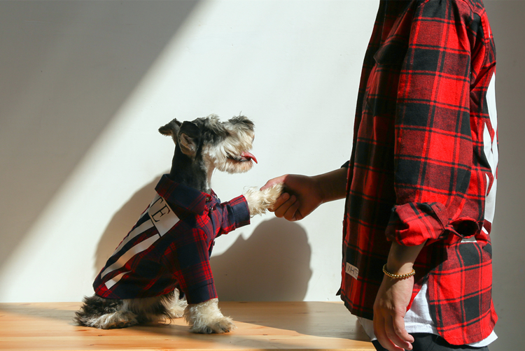 NEW DOG FASHION Luxury dog ​​clothes off-white st 