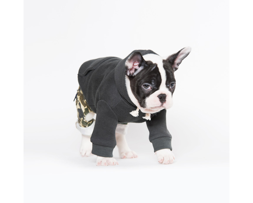 NEW DOG FASHION Unusual dog clothes Sniff dog clot