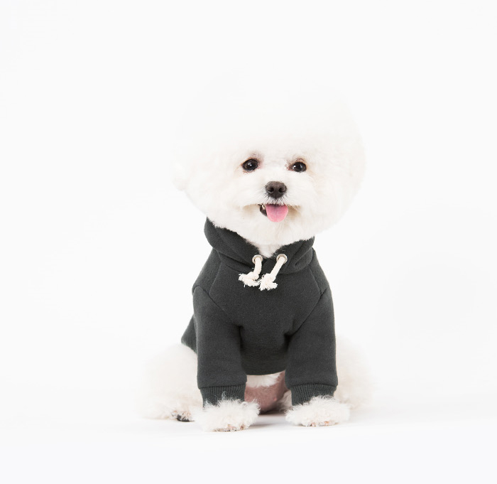 NEW DOG FASHION Snoopy Dogs Winterwear Basic Hoode
