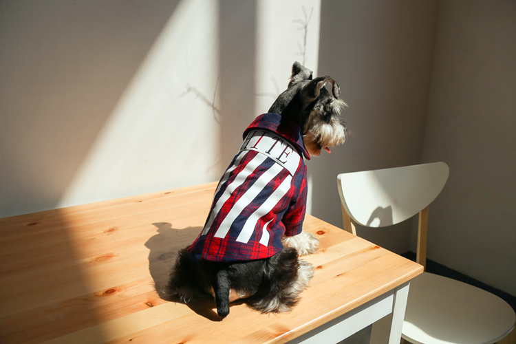 NEW DOG FASHION Luxury dog ​​clothes off-white st 
