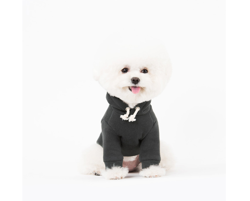 NEW DOG FASHION Unusual dog clothes Sniff dog clot