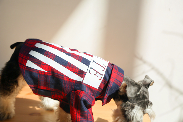 NEW DOG FASHION Luxury dog ​​clothes off-white st 