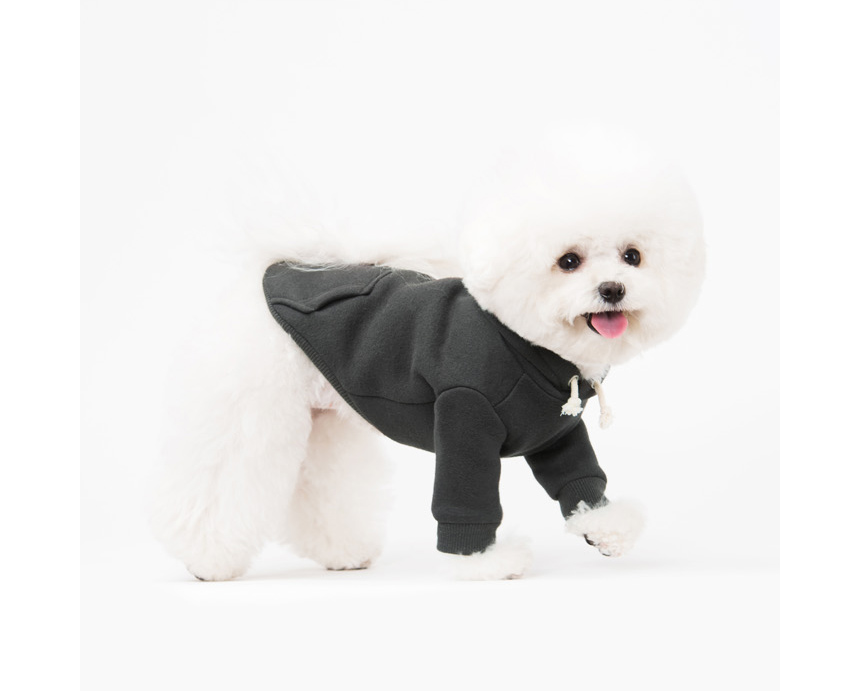 NEW DOG FASHION Unusual dog clothes Sniff dog clot