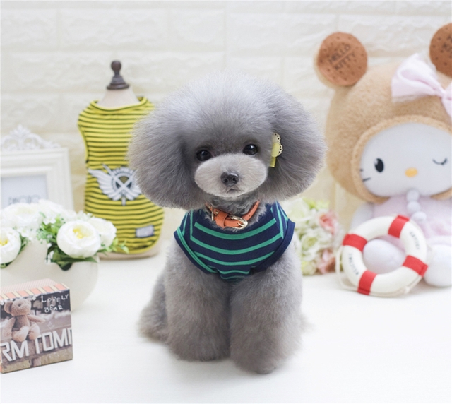 NEW DOG FASHION More than 10 types of sleeveless m
