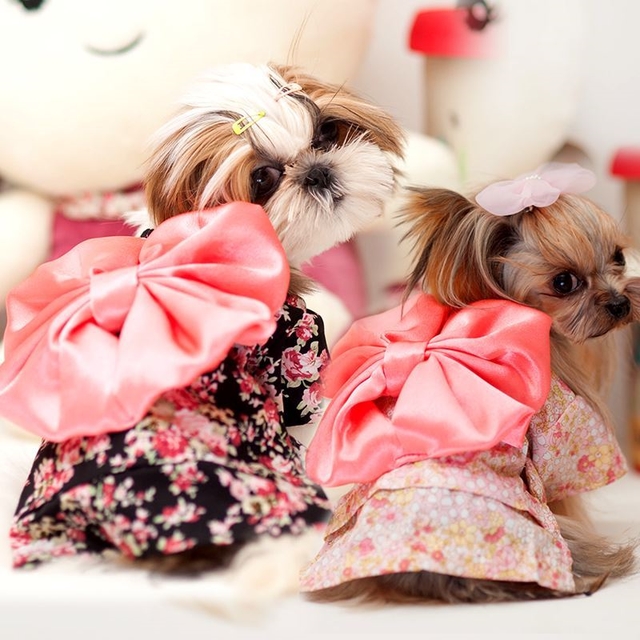 NEW DOG FASHION More than 10 types of sleeveless m