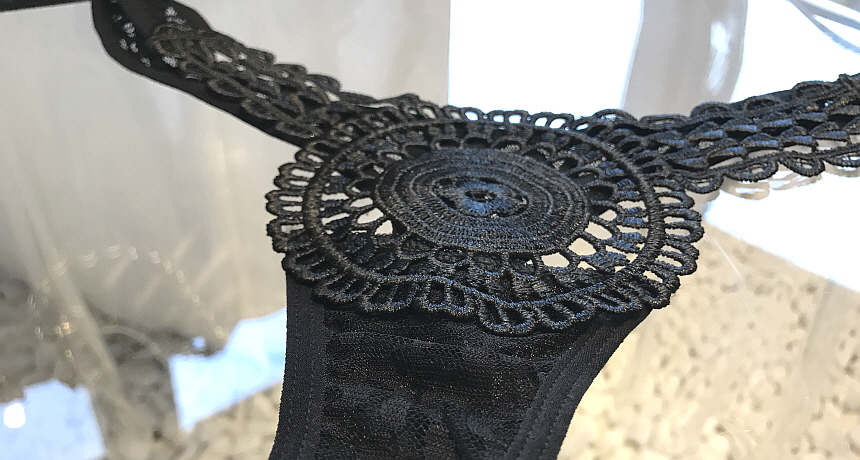 Women Underwear Sexy Lace Mesh Women Tee Shorts Li