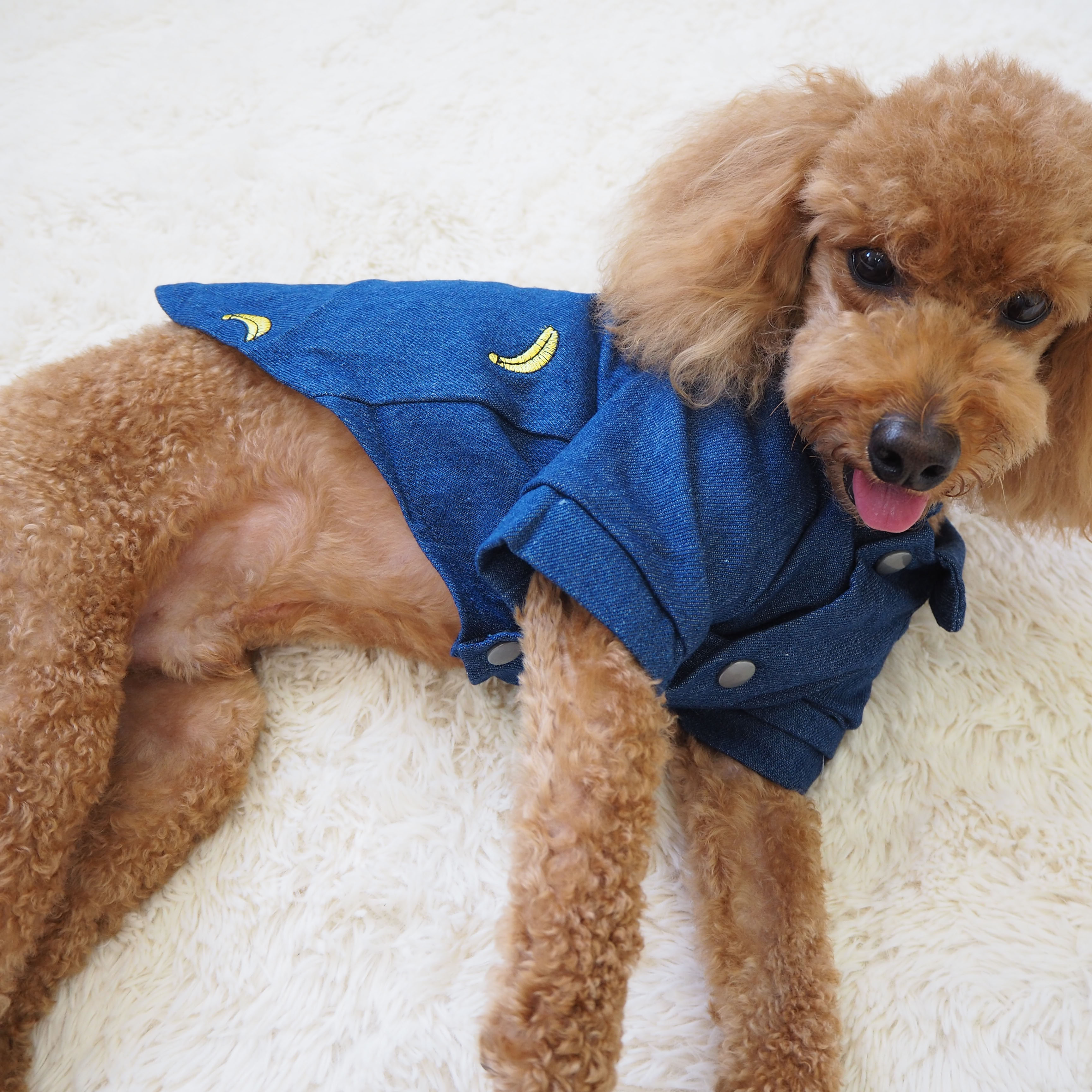 NEW DOG FASHION banana embroidery blue south denim